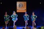 Thumbs/tn_Dansmarieke festival 2018 183.jpg